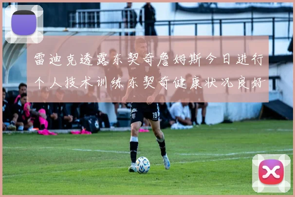 雷迪克透露东契奇詹姆斯今日进行个人技术训练东契奇健康状况良好
