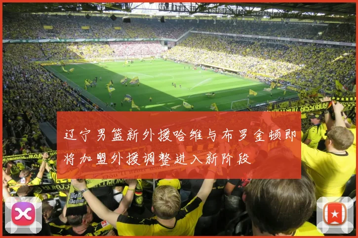 辽宁男篮新外援哈维与布罗金顿即将加盟外援调整进入新阶段