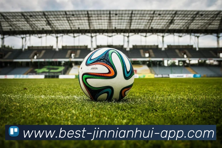 App Interface Preview